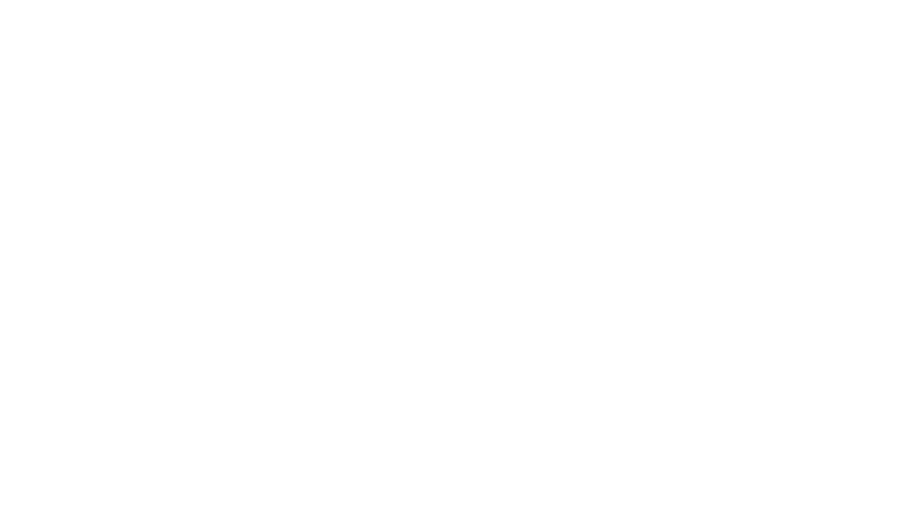 logo aniversário__
